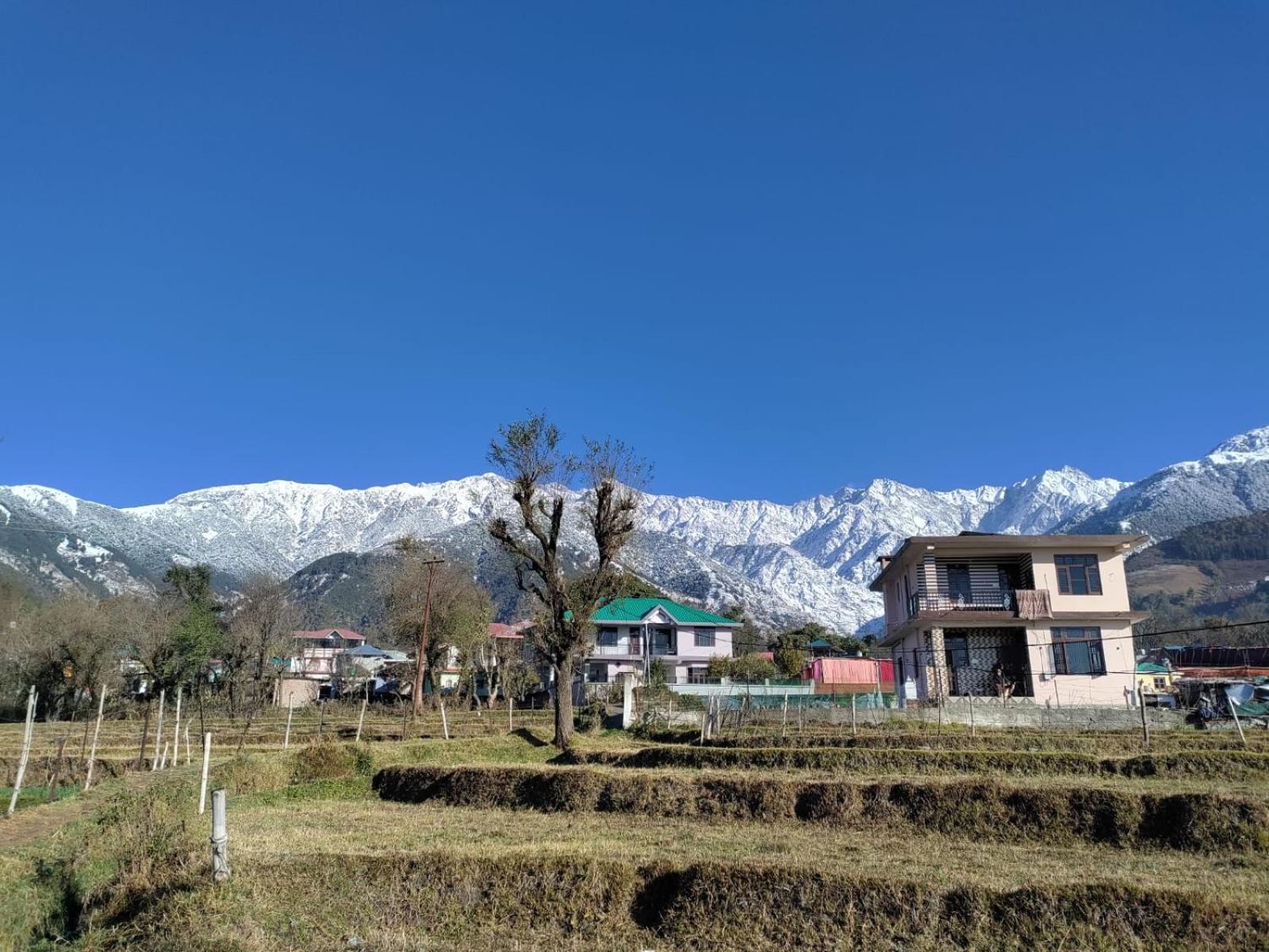 Homestay Palampur View 외부 사진