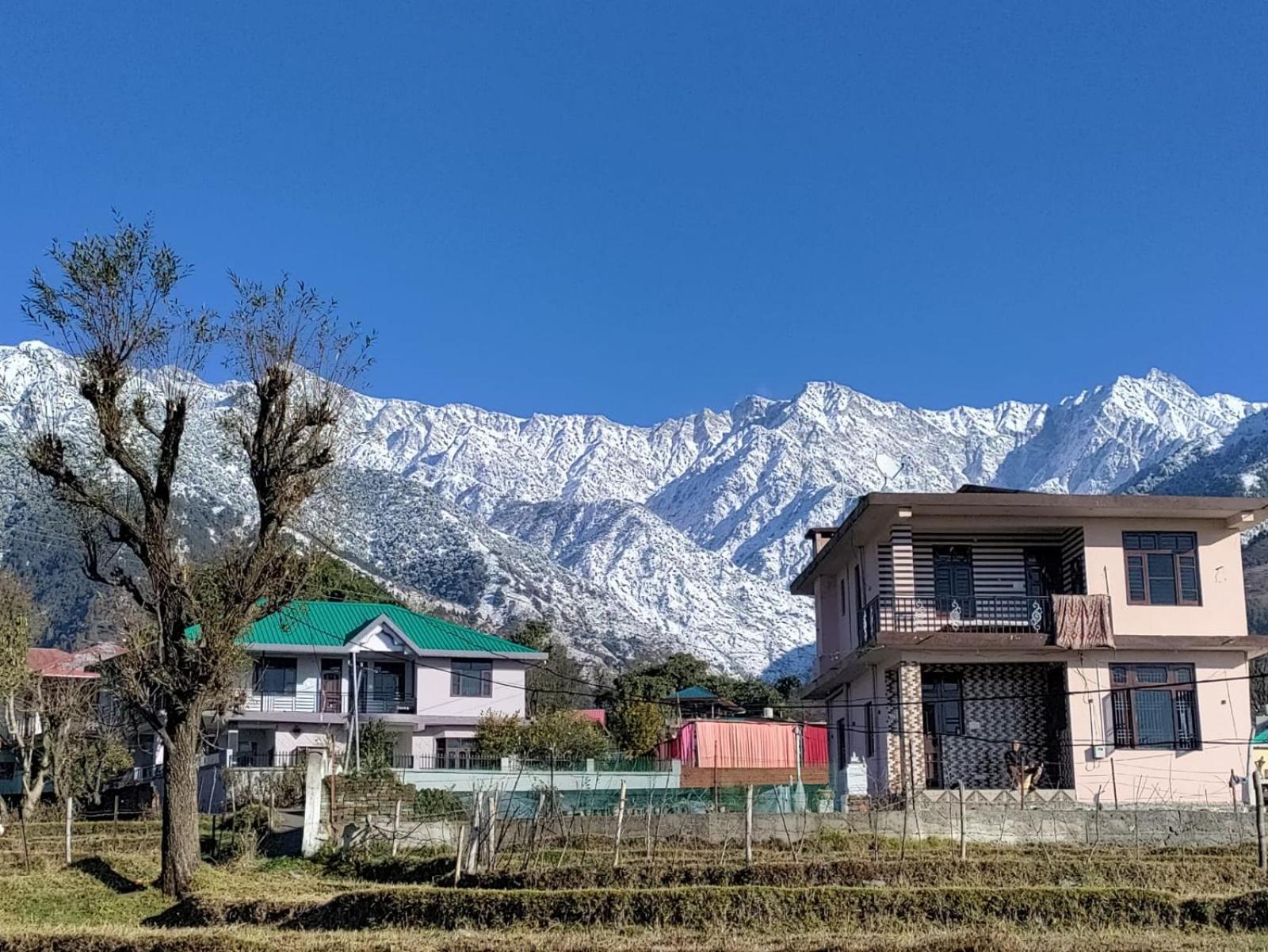 Homestay Palampur View 외부 사진